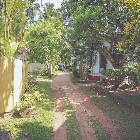 Hikka Surf Hostel Hikkaduwa Eksteriør bilde