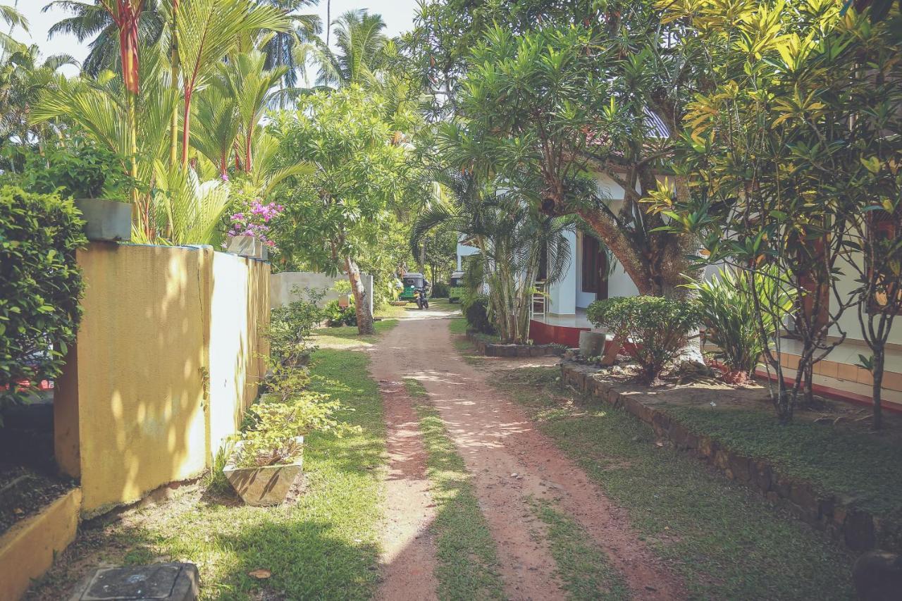 Hikka Surf Hostel Hikkaduwa Eksteriør bilde